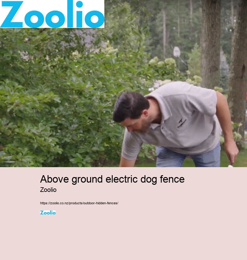 above ground electric dog fence