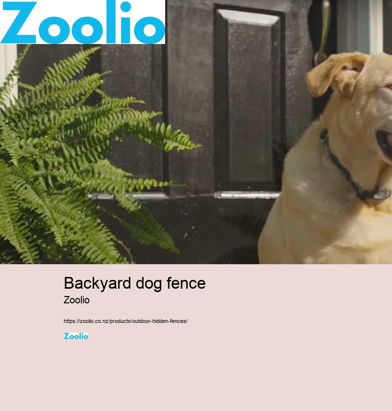 best dog fence