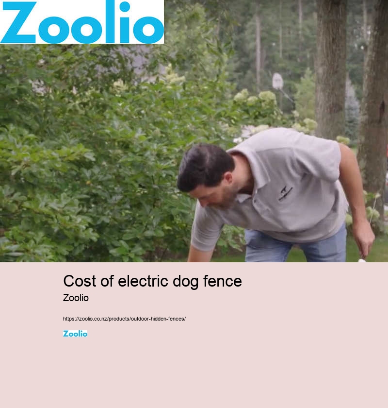 cost of electric dog fence