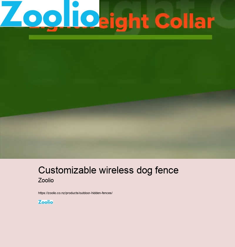 customizable wireless dog fence