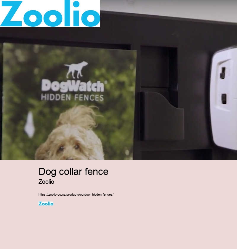 dog collar fence