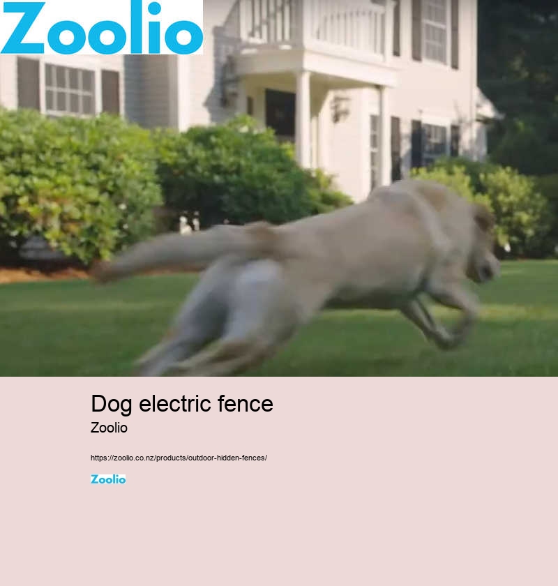 dog electric fence