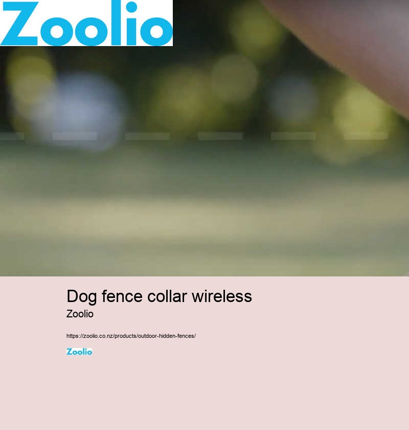 dog fence collar wireless