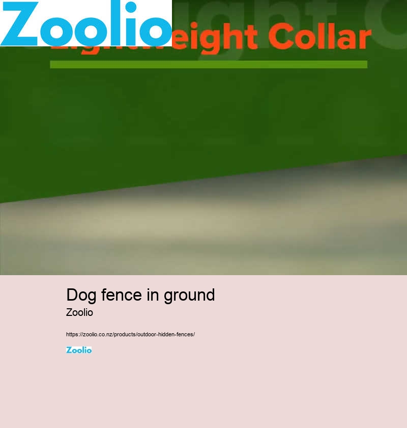 dog fence in ground