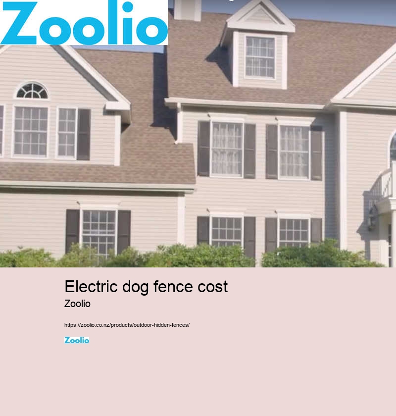 electric dog fence cost