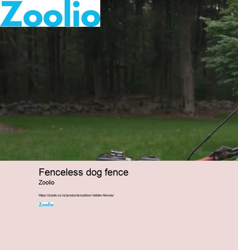 Dog fence