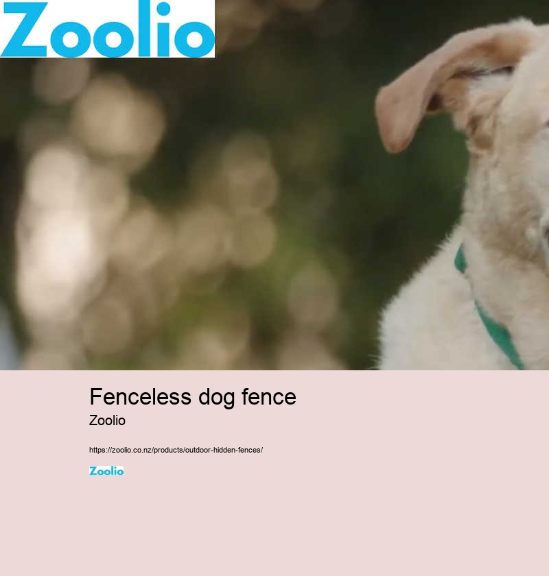 fenceless dog fence