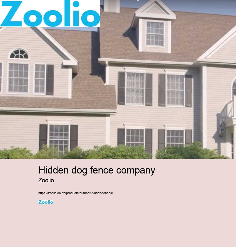 hidden dog fence company