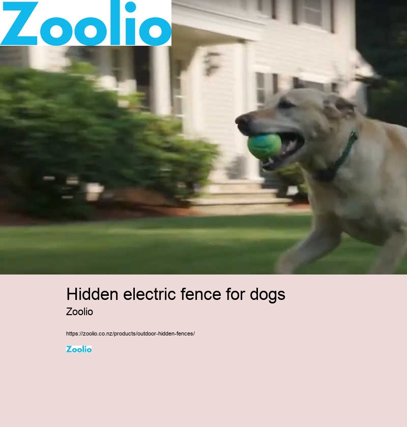 hidden electric fence for dogs