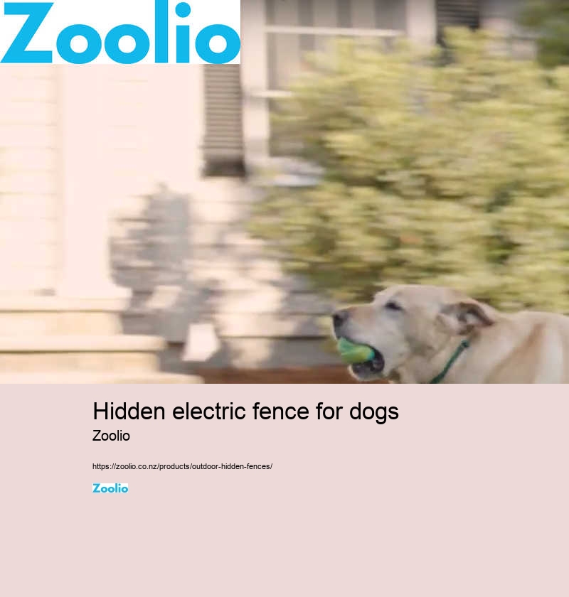 electric dog fence wireless