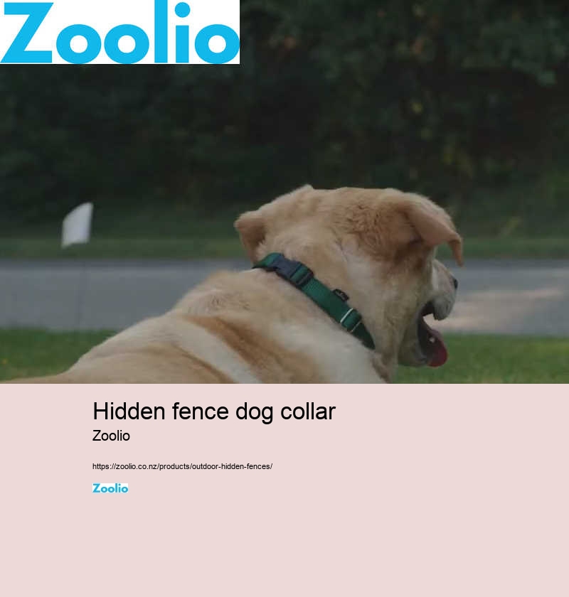 hidden fence dog collar