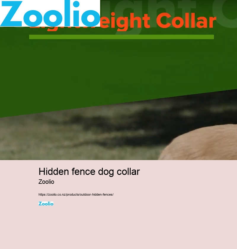 dog collar fence