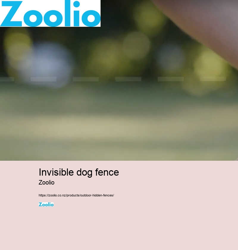 invisible dog fence