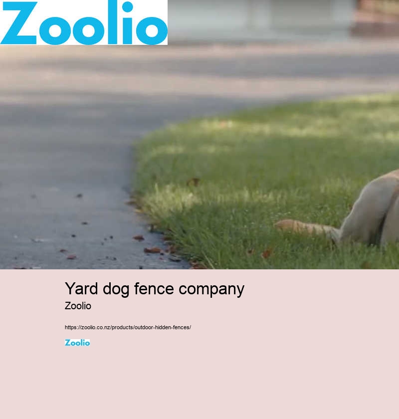 cost of invisible dog fence